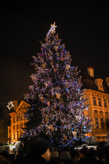 Fototapeta na wymiar Christmas tree in Prague.
