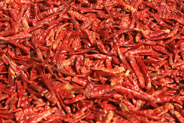 dry Chili pepper, thai spices