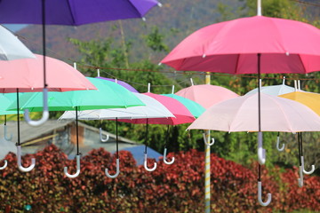 colorful umbrella decoration in outdoor