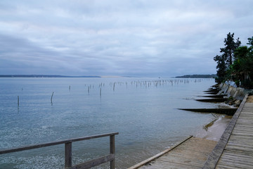 sunrise winter oyster farm beach in Cap Ferret herbe on Arcachon berry in France