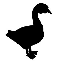 silhouette of a goose on a white background