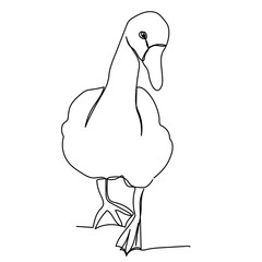  isolated, continuous line drawing duck, minimal design