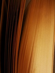 Pages of book