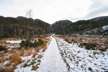 winter  wood road up to the preiklestolen