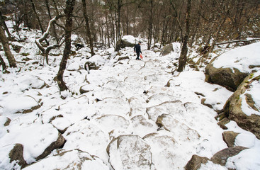 snowy mountain road in norway near fjord