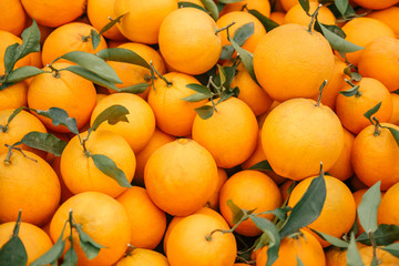 Beautiful selected organic oranges background, ripe oranges for preparing meal, lots of oranges on...