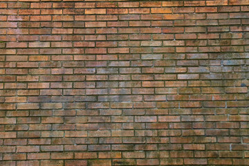 Fototapeta na wymiar Background of old brick wall