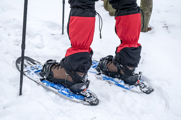 Naklejka premium Man in snowshoes with trekking poles is the snow in the forest