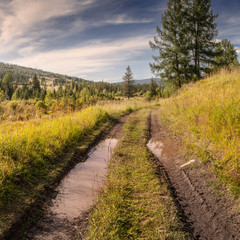 Bad rural road. Puddles, forest and field.