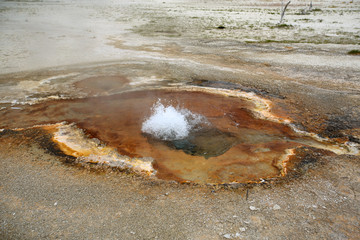 Black Sand Basin Area, Yellowstone National Park