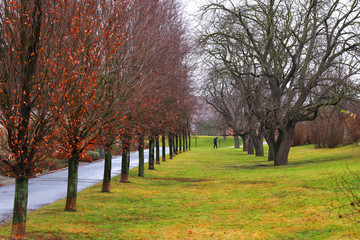 Background of old park in the Europe