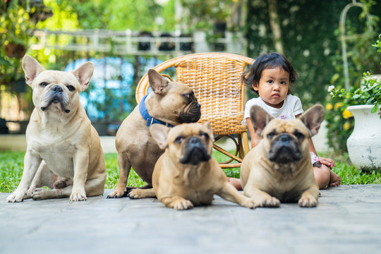 Portrait of cute little girl taking picture with french bulldogs in garden.