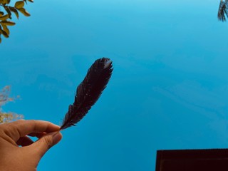 feather in hand with sky blue background