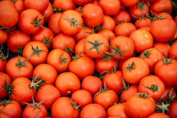 Beautiful selected organic tomatoes background, ripe red and sweet tomatoes, lots of tomatoes on a market counter.