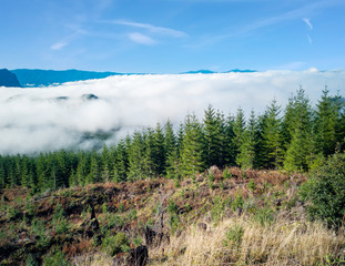 Foggy cloud covered Alpine Lakes Wilderness with green trees on a bright sunny morning in the autumn forest with blue skies and icy foreground in Washington State