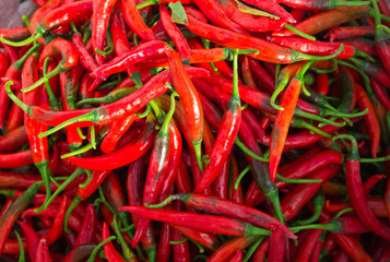 Red Chillies