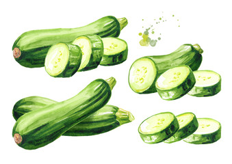 Green whole and cut zucchini vegetable set. Hand drawn watercolor illustration, isolated on white background