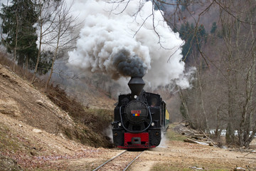 Steam train puffing along the tracks