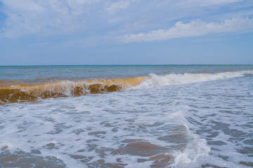 The sea shore at summer Sunny clear day in early summer