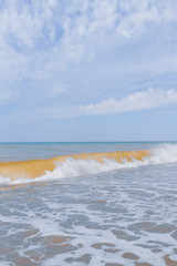 The sea shore at summer Sunny clear day in early summer