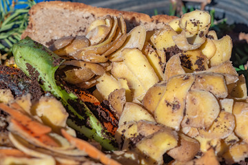 View into a bio container with various organic wastes for recycling.