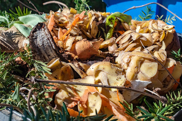 View into a bio container with various organic wastes for recycling.