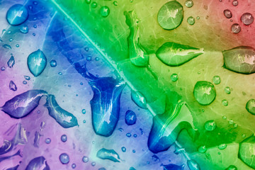 beautiful rainbow color gradient of water drop on leaf surface background