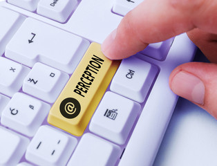 Word writing text Perception. Business photo showcasing individuals organize and interpret their...