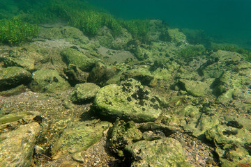 Underwater view of the Slunjcica River source in Croatia