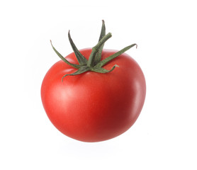 Fresh tomato with stalk isolated on white background. 
