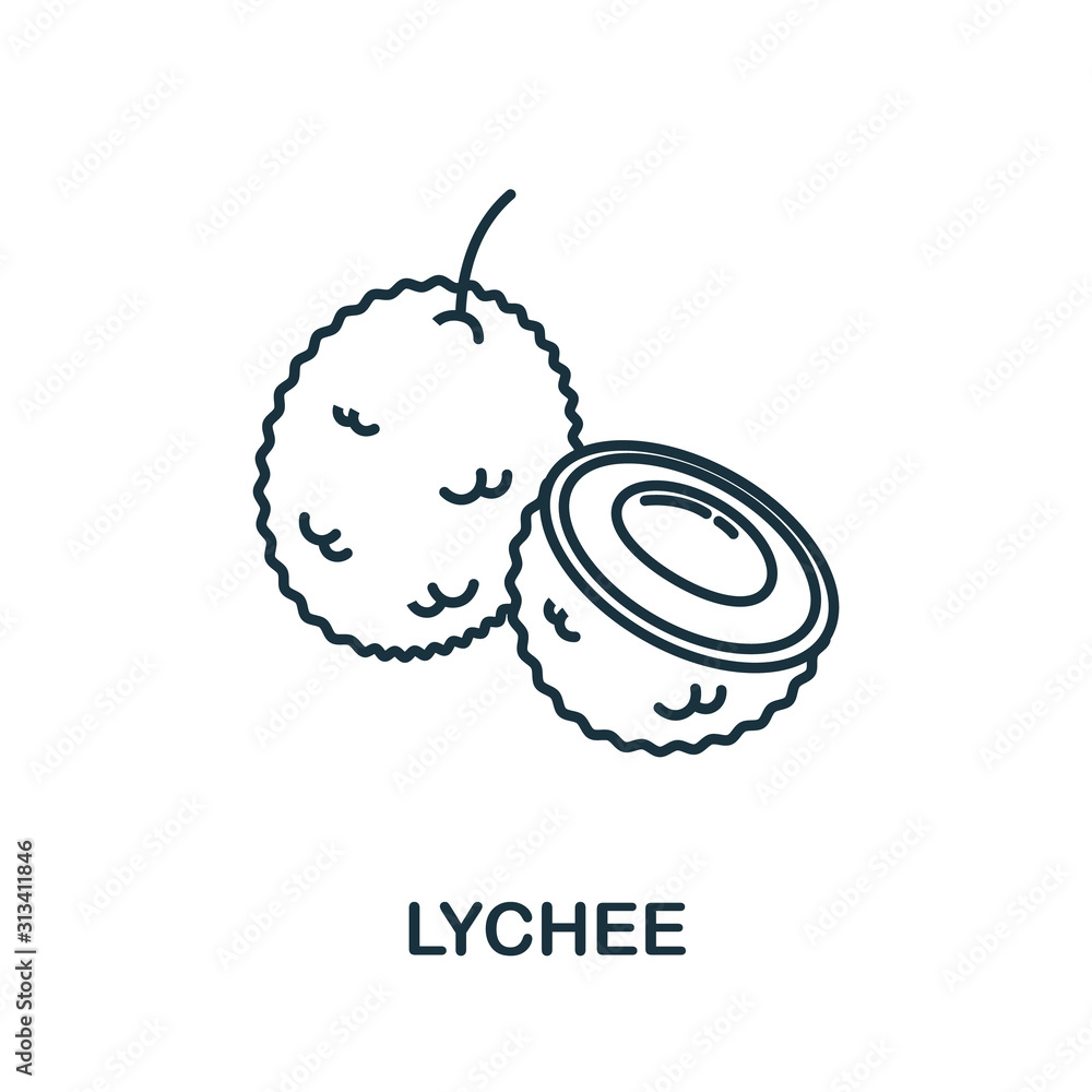 Aufkleber lychee icon from fruits collection. simple line element lychee symbol for templates, web design and 