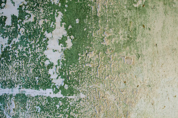 Old green mouldy wall detail