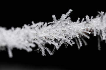 Delicate frozen flowers