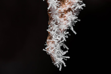 Frost flowers hanging by a piece of sharp metal