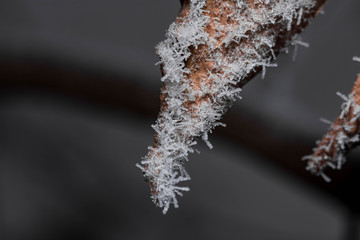 Frost flowers hanging by a piece of sharp metal
