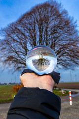 Glass ball pictures in nature with tree.