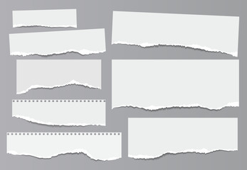 Set of torn white note, notebook paper strips and pieces with soft shadow stuck on dark grey background. Vector illustration