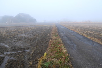 冬の朝霧の田圃風景