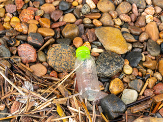 picture of people dumped on the seashore