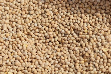 Pulses of extraordinary beautiful color and delicious taste