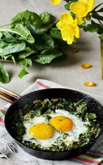 shakshuka with spinach or fried eggs. Green Shakshuka. Cook in Israel. Paleo. Keto diet dish. 