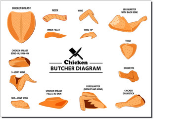 chicken butcher diagram or part of hen butcher concept. easy to modify