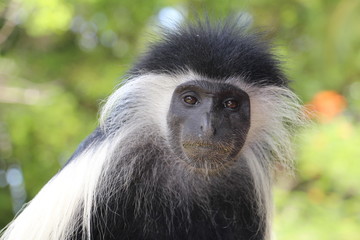 Le regard qui bouleverse