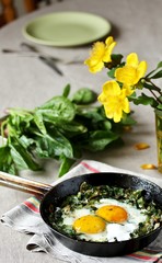 shakshuka with spinach or fried eggs. Green Shakshuka. Cook in Israel. Paleo. Keto diet dish. 