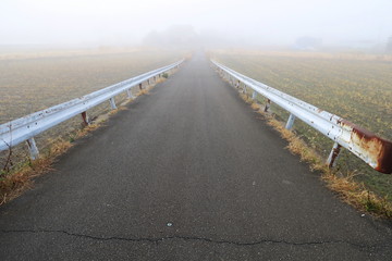 冬の朝霧の中の農道に通じる坂道風景