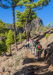 La Palma: Rundwanderung zum Pico Bejenado in der Caldera de Taburiente - Wandergruppe auf dem Weg zum Gipfel