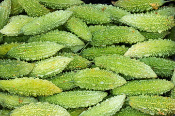 Close-up of balsam pear fruit in a crate.