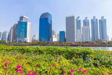 Naklejka premium Cityscape of the office building at Benchakitti park in the morning at Bangkok, Thailand. Tall building with park in the capital , Thailand.