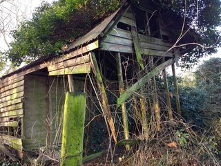 Landscape of derelict disused abandoned shed hut wooden building in natural   forest rural...