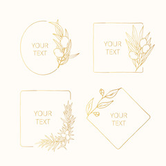 Collection of hand drawn golden floral olive branches for wedding branding. Gold frames and borders for christmas design templates. Vector isolated leaf monograms. 